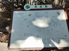 -昆明动物园