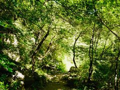 -碓臼峪自然风景区