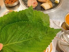 -安又胖韩国烤肉