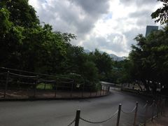 -大埔公路-马料水段香港中文大学(公交站)