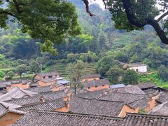 -杨家堂村