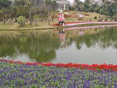 -广州市白云山风景名胜区