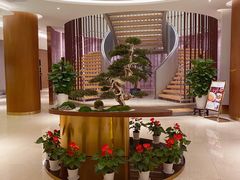 -松鹤楼(狮山永利广场店)