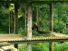 -碧峰峡风景区