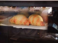 -Oasis coffee燕谷咖啡(公信店)