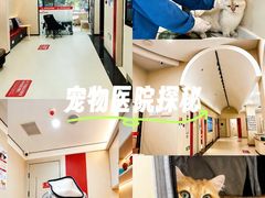 -御宝贝24h宠物医院·转诊中心·CT核磁血透中心(厦门总院)