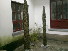 -苏州图书馆(人民路总馆)