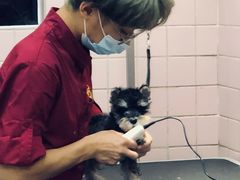 -FAELING PETS美天灵宠物(富力广场店)