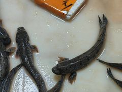 -都斛海鲜街