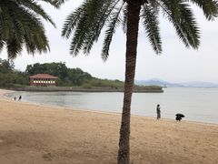 -鼓浪屿内厝澳码头(轮渡站)