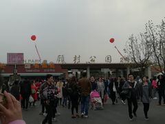 -雅悦齿科(顾村公园店)