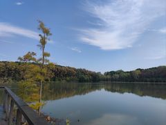 -昆山城市生态森林公园