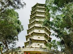 -深圳国际园林花卉博览园