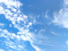 -增城图书馆(荔景大道辅路店)