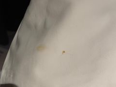 -大连星海皇冠假日酒店
