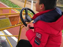 -上海长兴岛郊野公园