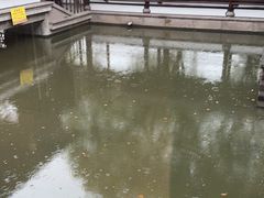 -绍兴老味道·非遗门店(银泰城店)
