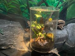 -上海海洋水族馆