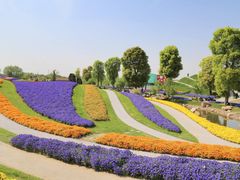 -南通洲际绿博园