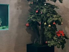 -松临·铁板烧&Omakase(神农店)