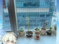 -福田卓悦INTOWN购物中心