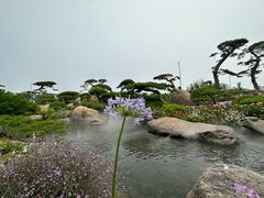 -罗红摄影艺术馆