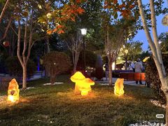-青岛鑫江温德姆酒店