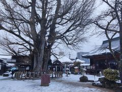 -医王山·飞騨国分寺