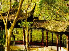 -上海佘山国家森林公园天马山园