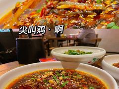 -铁公鸡·四川料理(天环广场店)
