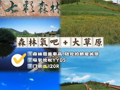 -丰宁坝上草原