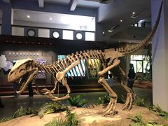 -自贡恐龙博物馆