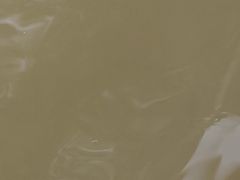 -江城燕子大排档(江汉路步行街店)