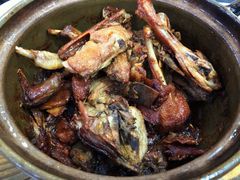 -斯丹姜母鸭·古法干香(涂门街总店)