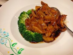 葱烧蹄筋-青岛海景花园大酒店·白果树餐厅青岛菜