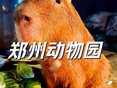 -郑州市动物园