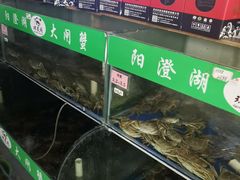 -阳澄湖大闸蟹·琼灵阁牌品牌连锁(吴中总店)