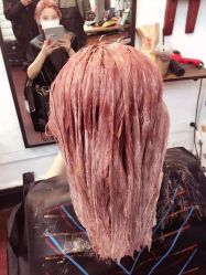 -SALON V