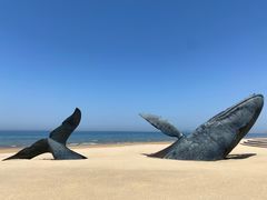 -烟台金沙滩海滨公园