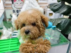 -百荣世贸商城