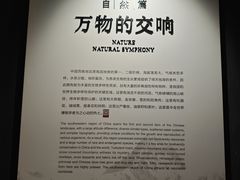 -四川大学博物馆