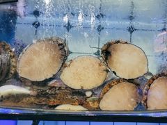 -日照大牌檔•小船海鲜(万平口店)