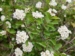 -鹫峰国家森林公园