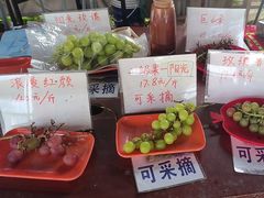 -马陆小张葡萄园农家乐