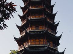 -红梅公园
