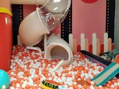-远洋未来汇