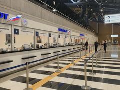 -谢列梅捷沃国际机场