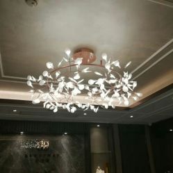 -香榭丽舍·海菲秀·皮肤管理痘敏肌修护