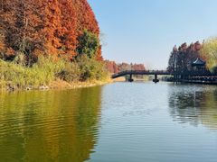 -溱湖国家湿地公园