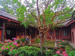 -剑门关风景区